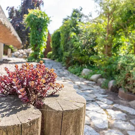 Finnhuette Reet Und Börgerende-Rethwisch