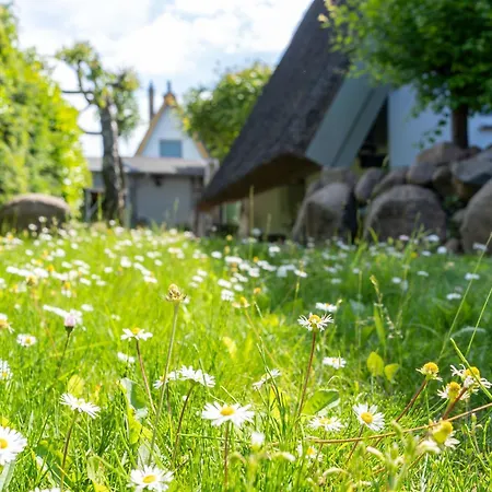 Casa de Férias Finnhuette Reet Und *